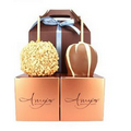 Gourmet Caramel Apple Gable Gift Pack